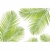 Papel De Parede Personalizado Folhas De Coqueiro Verde - loja online