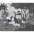 Papel De Parede Personalizado Floresta Dos Dinossauros Gray - comprar online