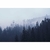 Imagem do Papel De Parede Personalizado Nevoeiro Na Floresta