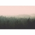 Imagem do Papel de Parede Personalizado Montanhas Neblinosas