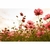 Papel de Parede Personalizado Flores ao Pôr do Sol - comprar online