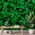 Papel De Parede Personalizado Jardim Vertical Folhas Verdes - comprar online