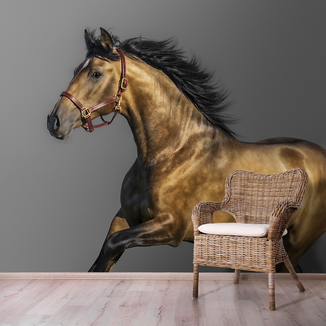 Um cavalo está em frente a uma porta com um fundo escuro e as palavras  cavalo na frente.