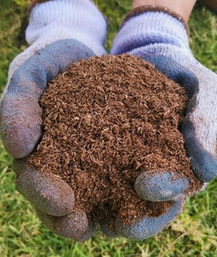 Peat Moss (Turba), 10 litros en internet