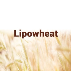 lipowheat-350mg-30-capsulas