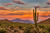 Quadro Pôr do Sol, Deserto de Sonora, Arizona