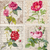 Lámina para Sublimar 32 x 32 "Rosas Vintage" | EQ 3024