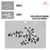 Stencil Doble Registro 24 x 30 "Eucalipto" | STNJ069I - comprar online