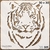 Stencil "Tigre" 30 x 30 | Shine Deco Laser