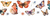Transfer UV Cinta 6 x 50 "Mariposas" | CV 004