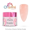 Pó acrílico Charms Beauty – Perfect Nude – 40g