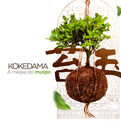 Kokedama - A Magia do Musgo
