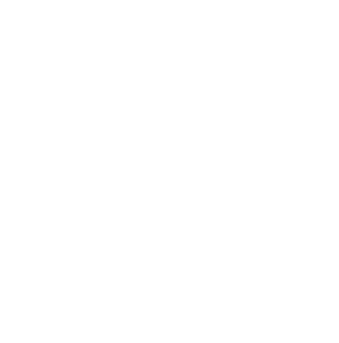 SnacPhone