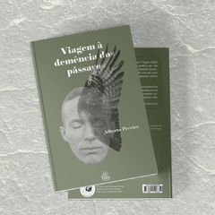 Viagem à demência dos pássaros – Alberto Pereira - Editora Isto Edições – Livros de poesia