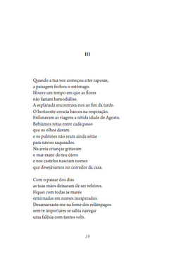 Viagem à demência dos pássaros – Alberto Pereira na internet