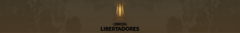 Banner da categoria Libertadores