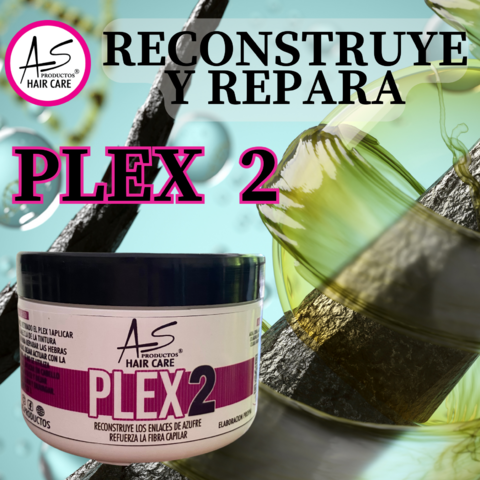 PLEX 2 DE 300 GR - RECONSTRUYE Y REPARA