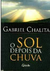 O Sol Depois Da Chuva - Gabriel Chalita - (Cód: 1409-M)
