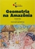 GEOMETRIA NA AMAZÔNIA