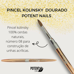 PINCEL POTENT DOURADO N° 08 100% KOLINSKY