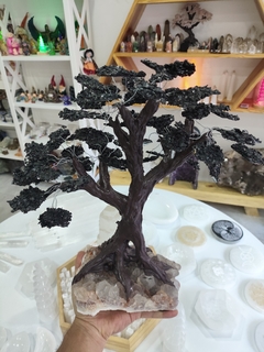 Árvore Turmalina negra GG - comprar online