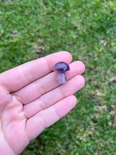 Cogumelo de pedra natural