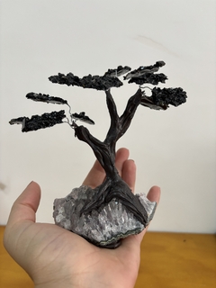 árvore de turmalina negra m - comprar online