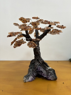 árvore de ágata g