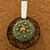 Astrophytum asterias akabana H571 (Pote 11) - comprar online