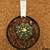 Astrophytum asterias akabana R353 (Pote 11) - comprar online