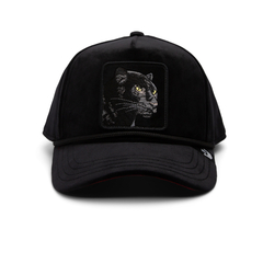 PANTHER ROYALTY BLACK - NUEVA COLECCIÓN