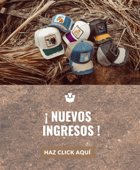 Kenzo unicentro queretaro discount
