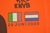 Imagen de Holanda Titular RETRO 2000. #10 Bergkamp. Parche Eurocopa + Matchday