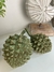 Conjunto Durian Exótico Decor (c/2) - Florí