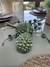 Conjunto Durian Exótico Decor (c/2) - comprar online