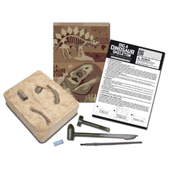 Kit de Escavação de Dinossauro - Estegossauro - Kidz Labs - 4M - Consulado dos Brinquedos