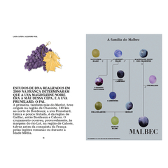 Malbec mon amour - Catapulta - comprar online