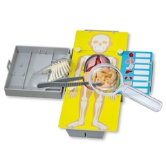 Anatomia - Torso Humano - Kidz Labs - 4M - comprar online