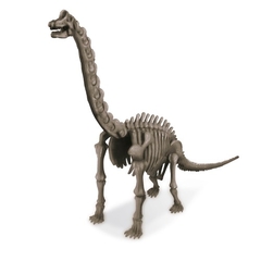 Kit de Escavação de Dinossauro - Braquiossauro - Kidz Labs - 4M - comprar online