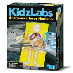 Anatomia - Torso Humano - Kidz Labs - 4M