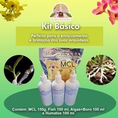 Kit básico Orquidário