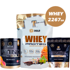 Combo Crecimiento Muscular #1 Whey Protein 5lb + Creatina 300gr + Amino Gold Bcaa 8:1:1 - comprar online