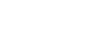 Level Micro