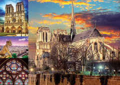 18456 Rompecabezas Puzzle Educa 1000 piezas. Collage de Notre Dame - comprar en línea