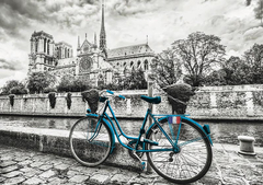 18482 Rompecabezas Puzzle Educa Bicicleta Cerca de Notre Dame "SOBRE PEDIDO" - comprar en línea