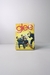 Glee - Primeira Temporada Completa - DVDs