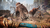 Jogo Far Cry Primal - Xbox One (Seminovo) na internet