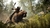Jogo Far Cry Primal - Xbox One (Seminovo) - Vozão Games