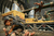 Jogo Gears of War 4 - Xbox One (Seminovo) - comprar online