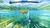 Jogo Fishing Star World Tour - Nintendo Switch na internet